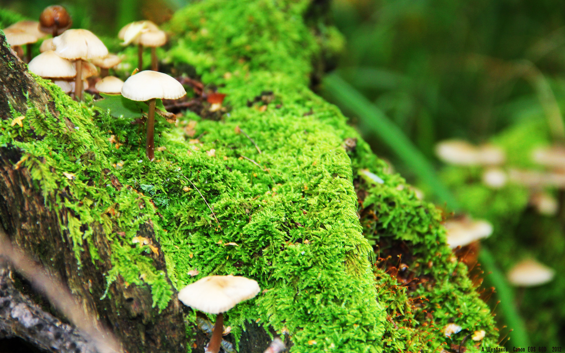 体育传媒发展现状与传播力提升方案，体育传媒是干什么的