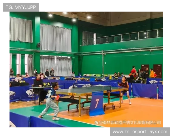 乒乓球俱乐部推动青少年技术档案化管理与跟踪，乒乓球青少年培训