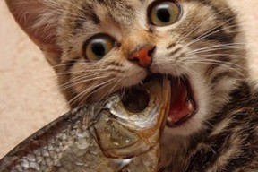 爱游戏网址登录-体育赛事品牌推广活动策划，体育赛事品牌推广活动策划怎么写